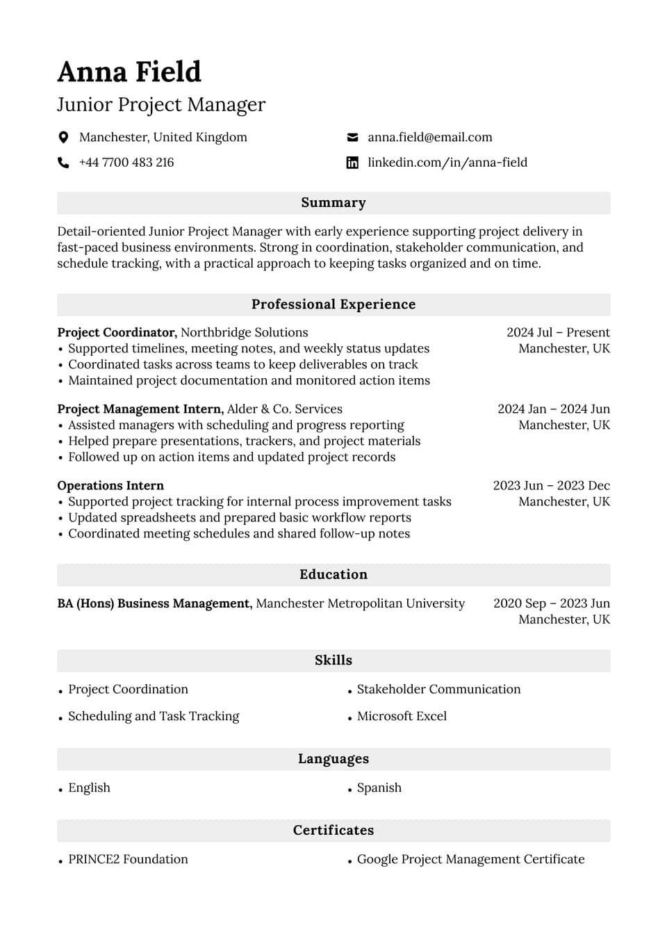 Junior Project Manager resume example