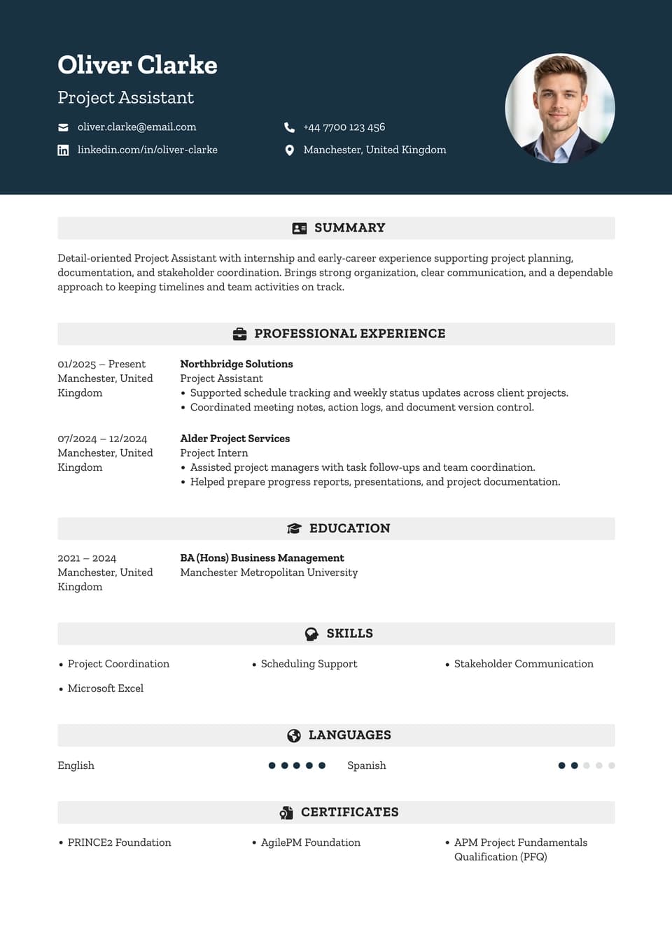 Project Assistant resume example