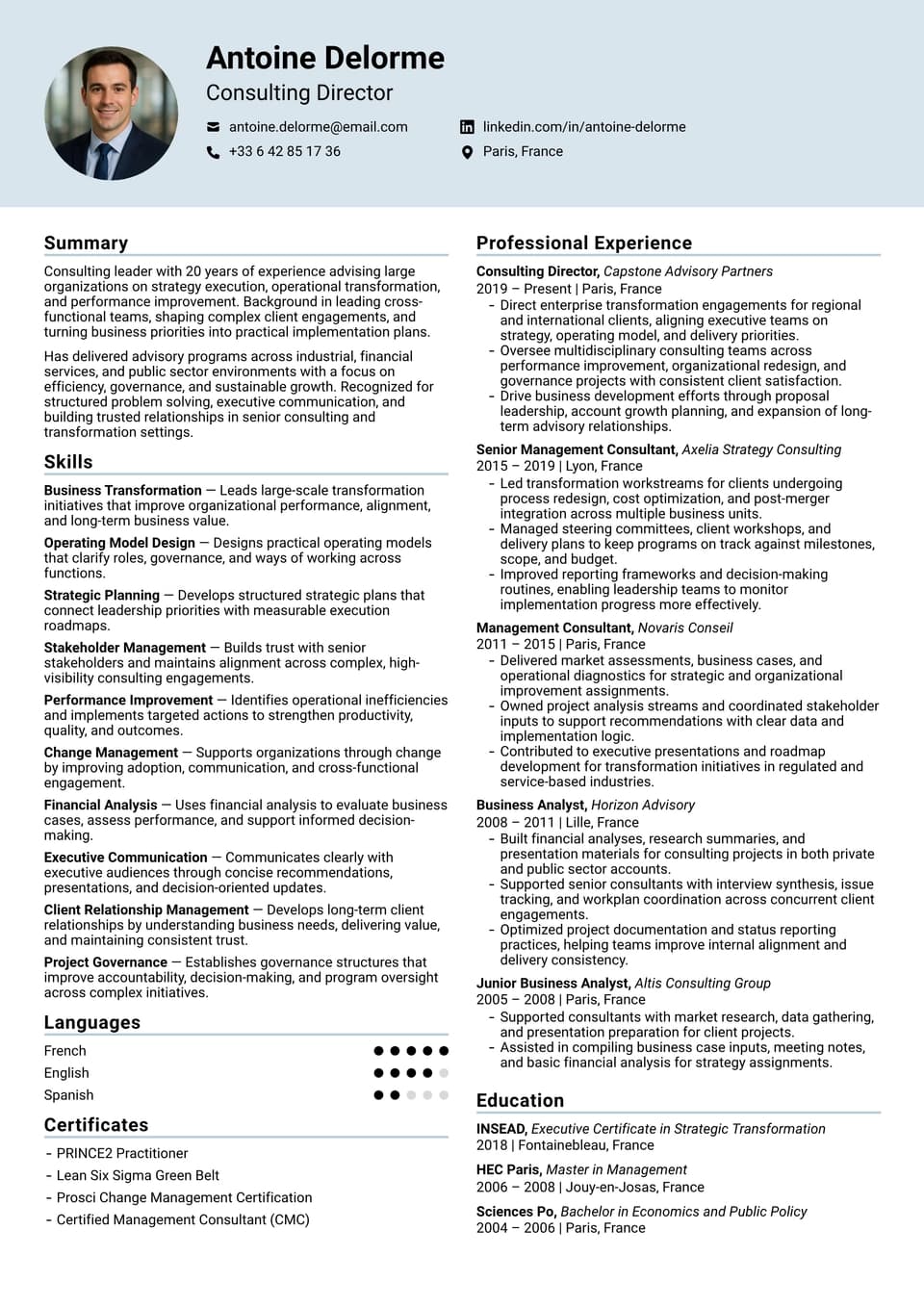 Consulting Director resume example