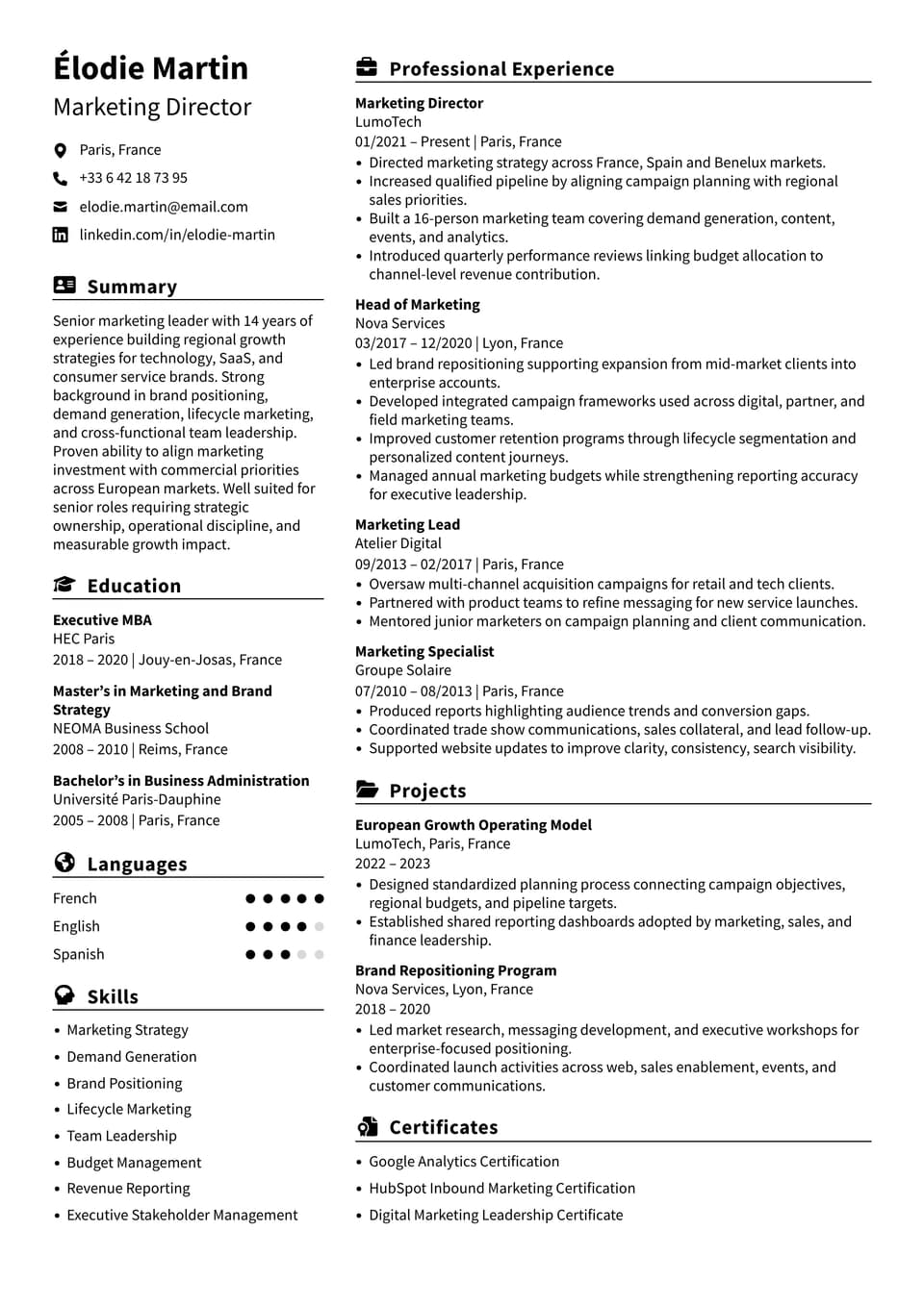 Marketing Director resume example