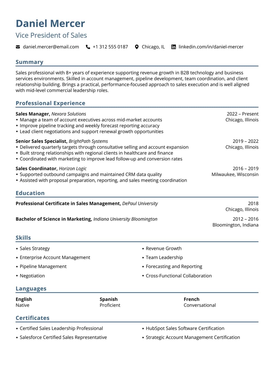 VP of Sales resume example