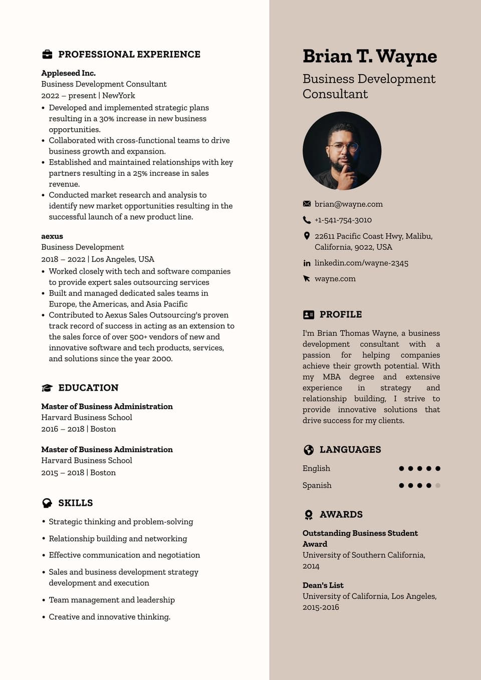 Business Development Consultant resume example